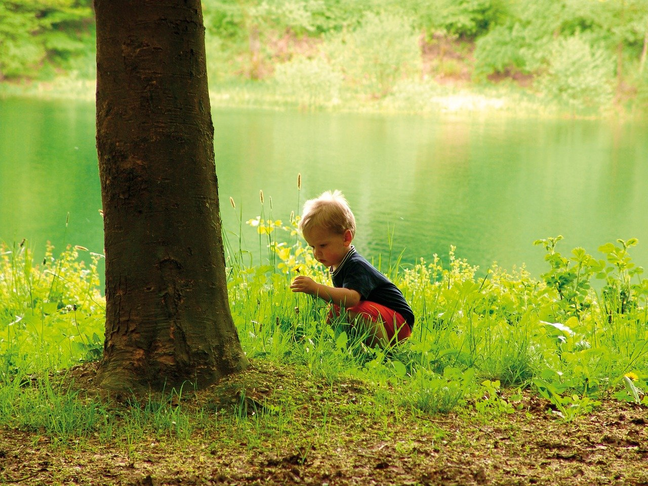 Come educare i bambini al rispetto dell'ambiente