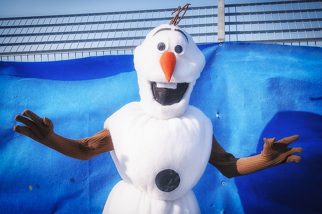 costumi carnevale frozen