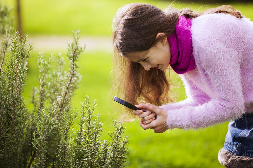 piante velenose per i bambini