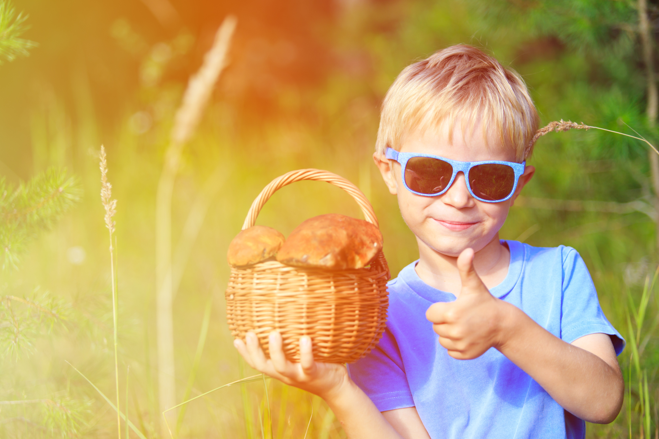 bambini possono mangiare i funghi