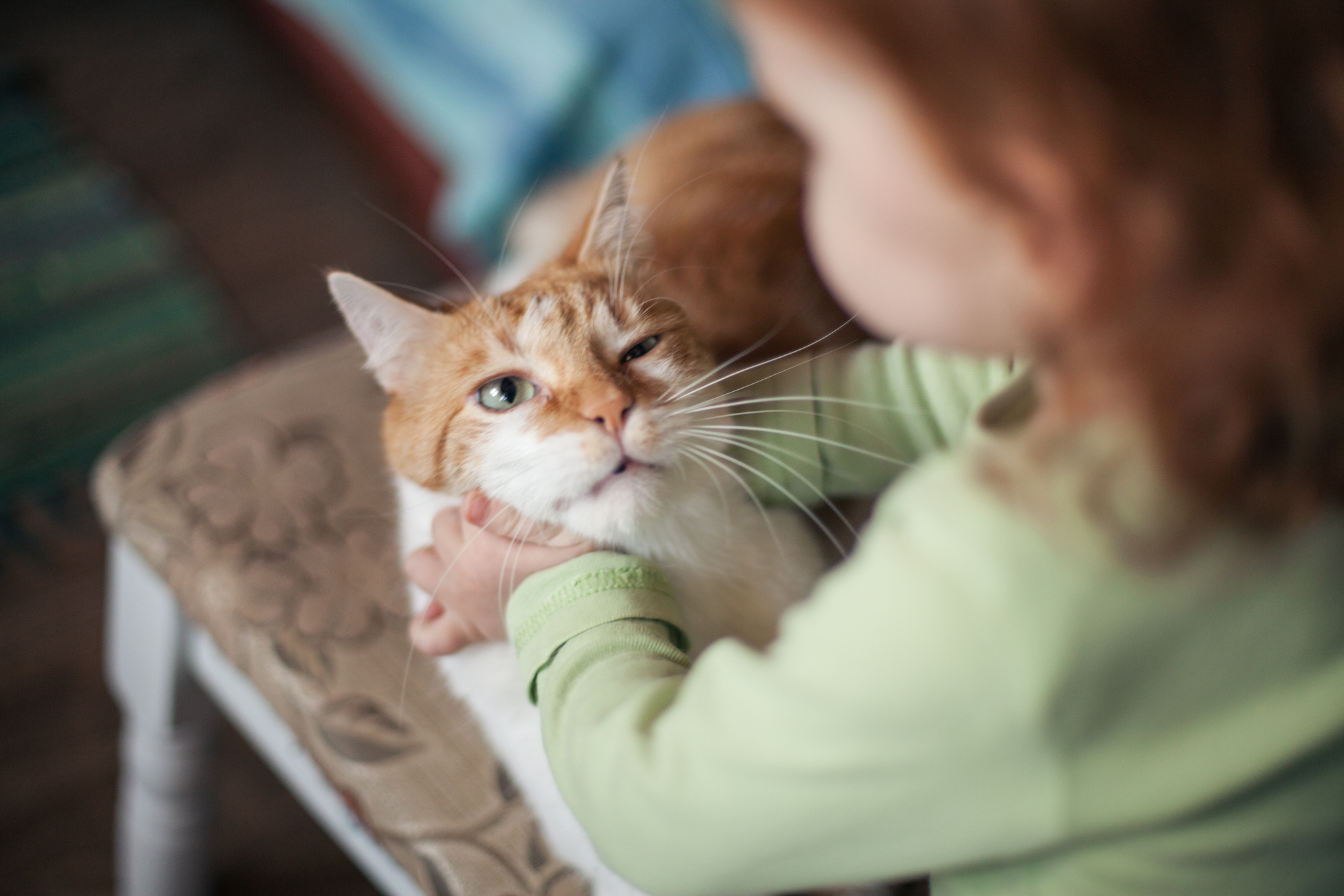 gatto e bambina