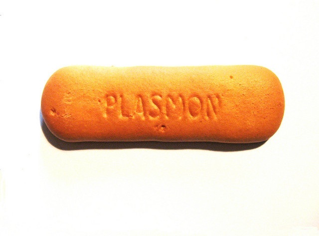 Biscotti Plasmon, a quanti mesi?