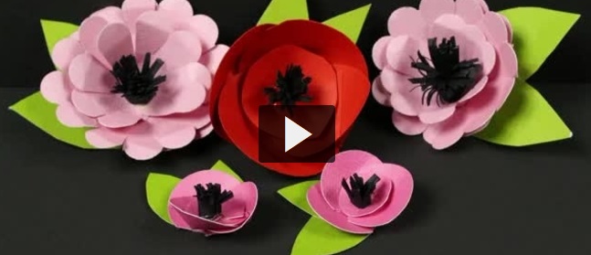 fiori di carta 3D