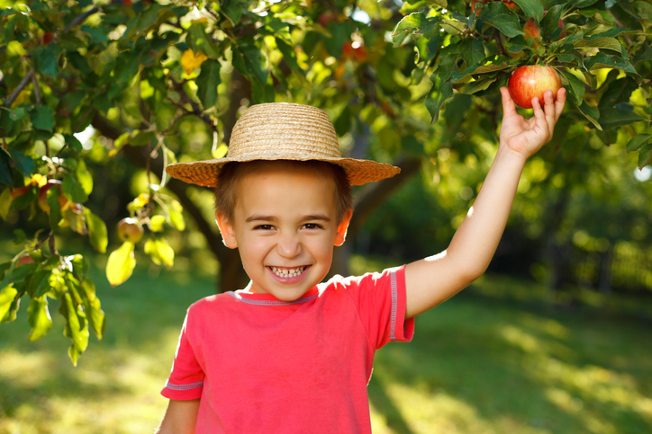 orto con i bambini con frutta