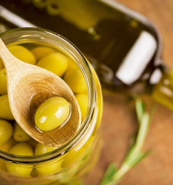 olive in salamoia