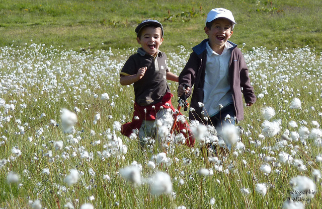 Bambini in montagna d'estate