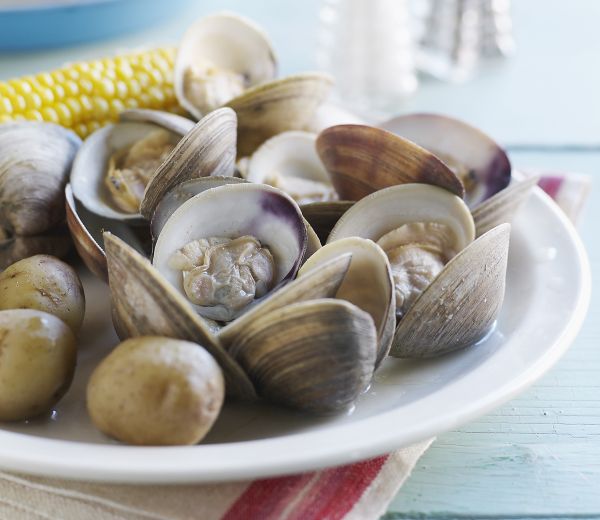 Si possono mangiare le vongole in gravidanza?