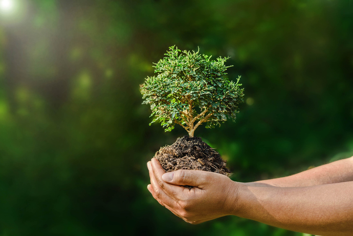 4 poesie sulla natura per i bambini