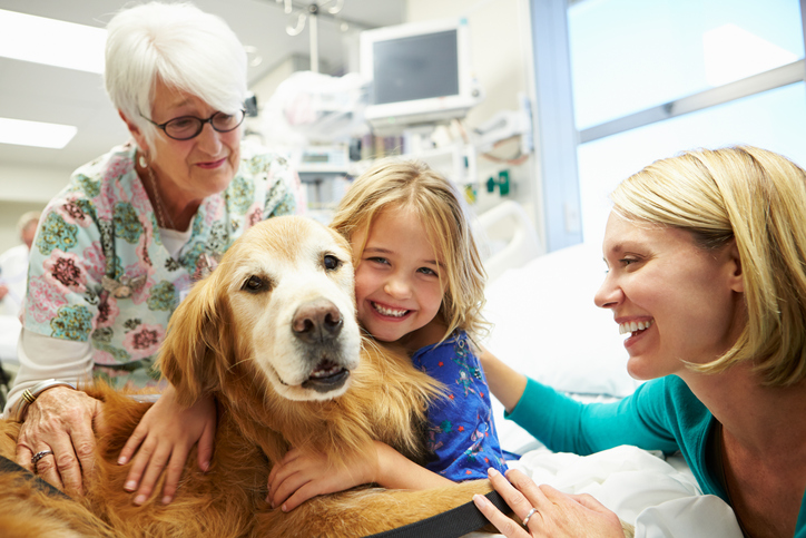 bambini cane medico