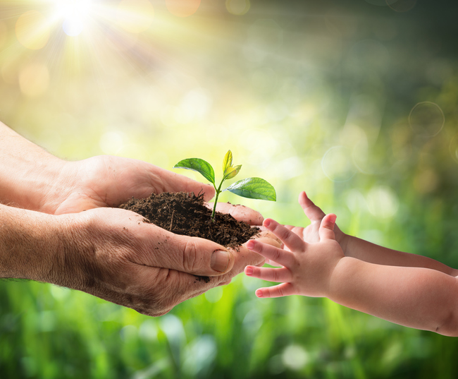 Giochi educativi ambiente