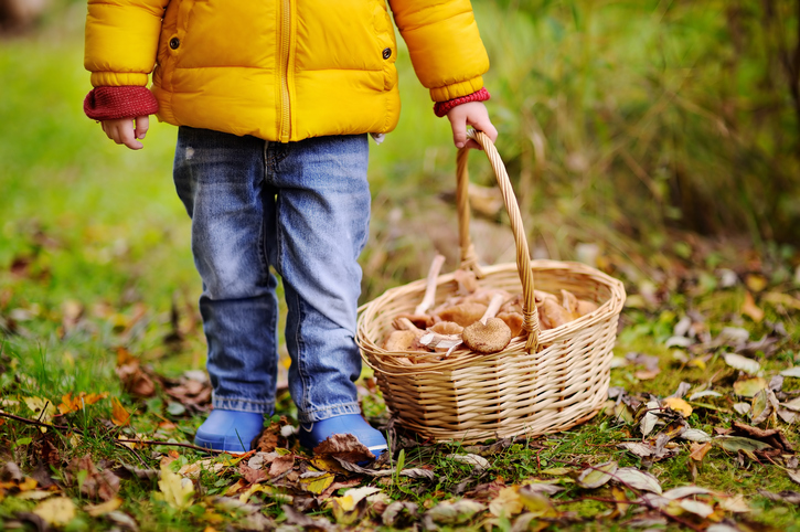 bambini funghi