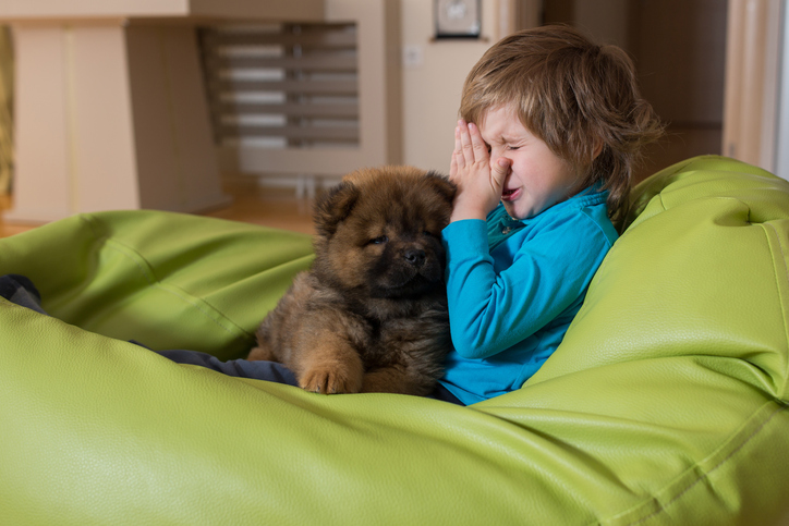 Allergia al pelo del cane bambini