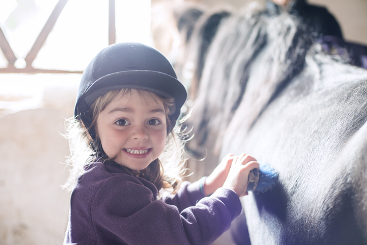 cavalli adatti ai bambini