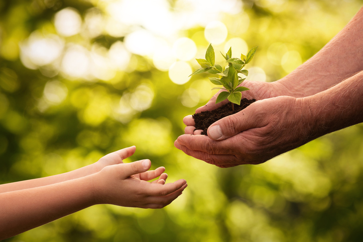 Fotosintesi clorofilliana per bambini