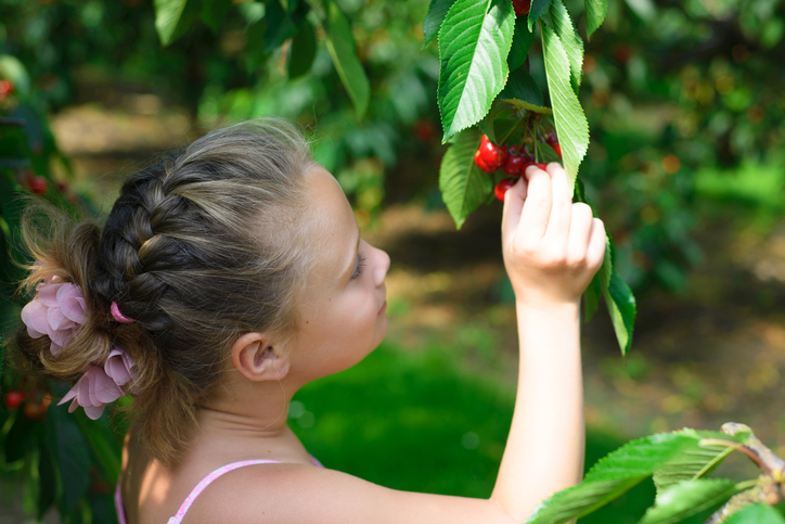 orto con i bambini con alberi da frutta