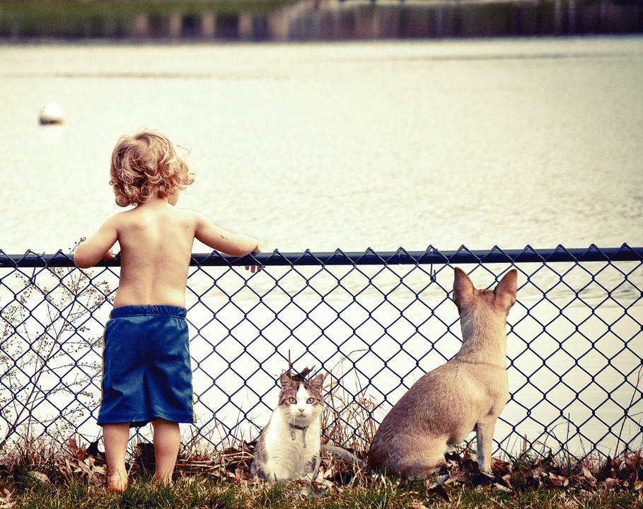 Crescita dei bambini, cani e gatti