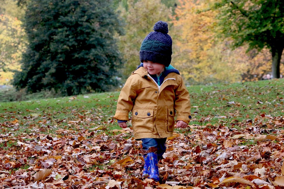 Poesie sull'autunno per bambini della scuola primaria