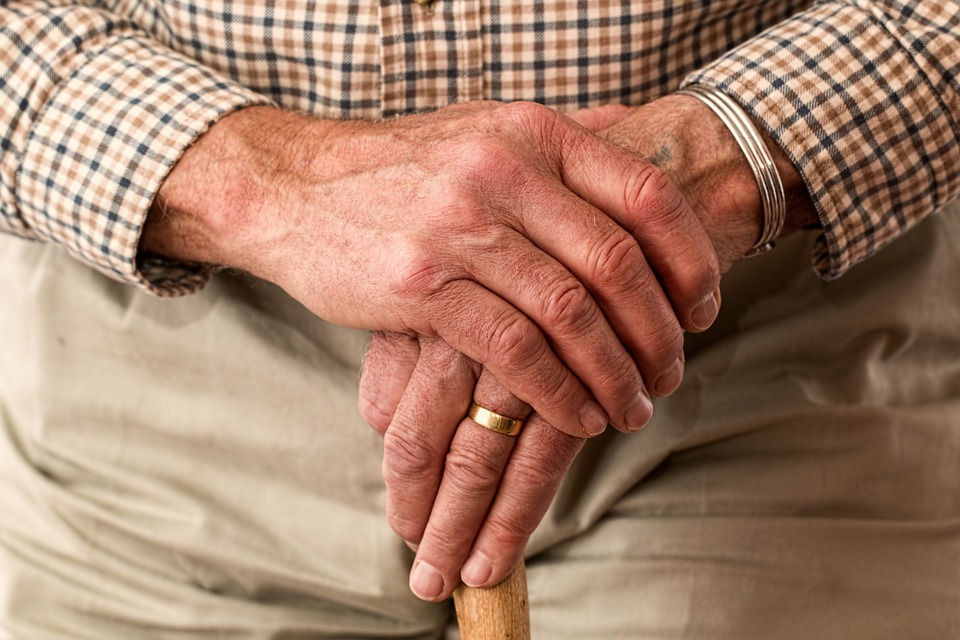 Testo sui nonni per la scuola primaria