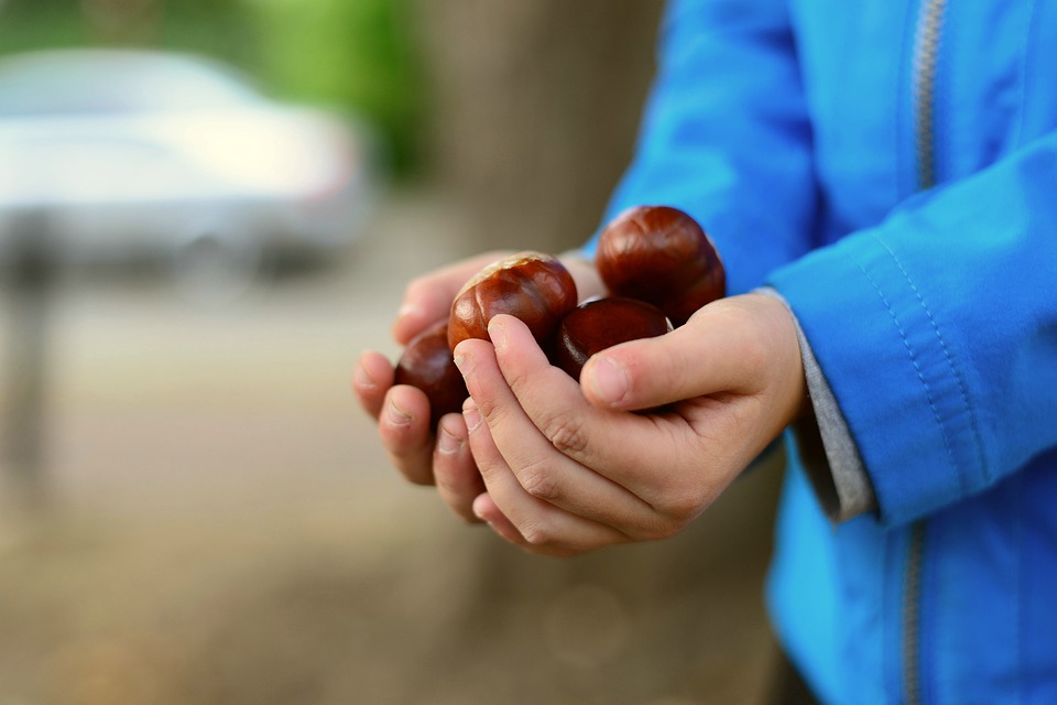 Cosa fare con le castagne