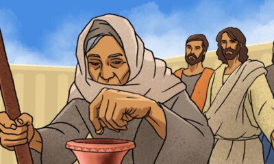 illustrazione biblica vedova donazione