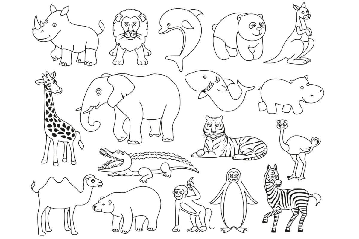 disegni animali colorare