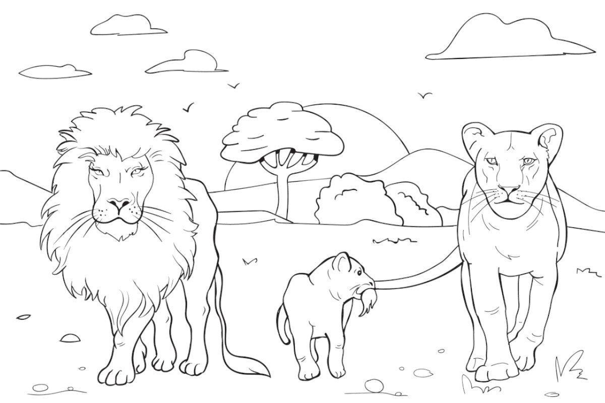 famiglia leone leonessa cucciolo