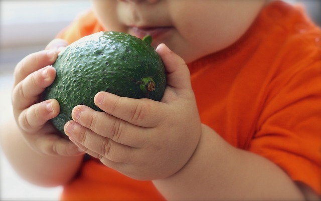 10 ricette con avocado per bambini