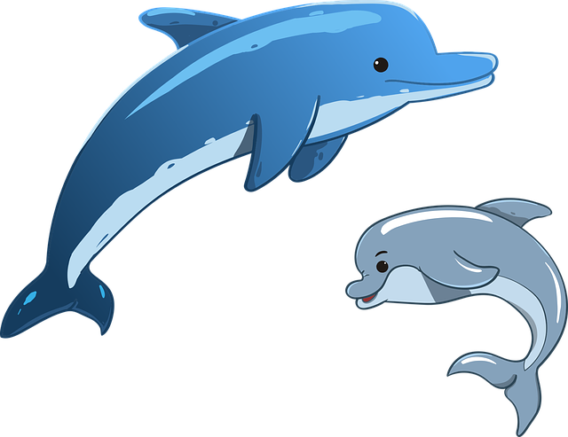 Tanti disegni per bambini sui delfini da colorare