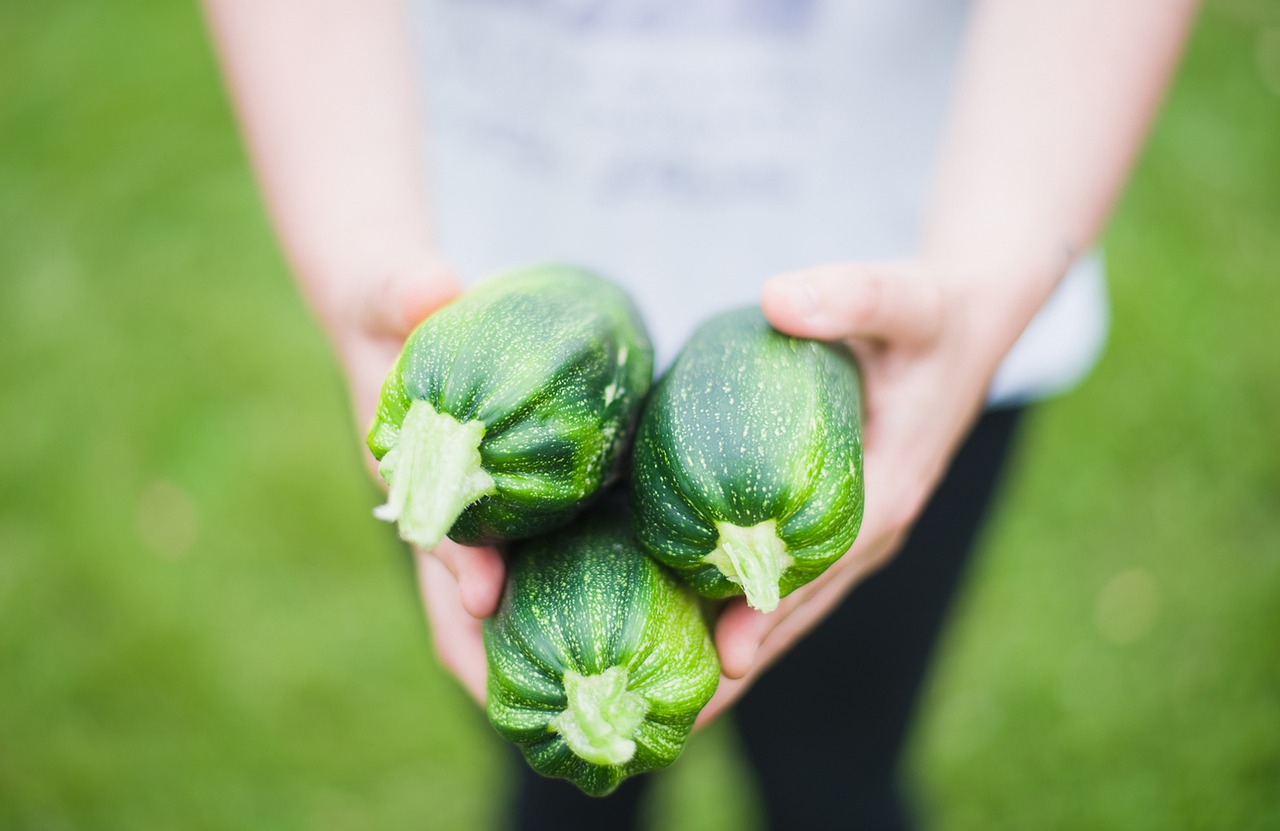 ricette per bambini con le zucchine