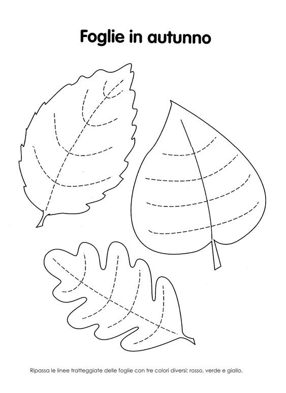 I disegni delle foglie da colorare e ritagliare per i bambini