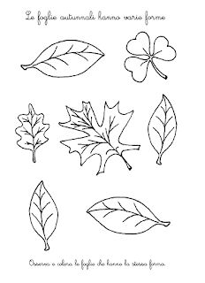 I disegni delle foglie da colorare e ritagliare per i bambini