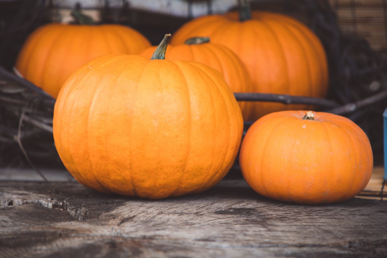 Gateau di zucca e patate, la ricetta per i bambini