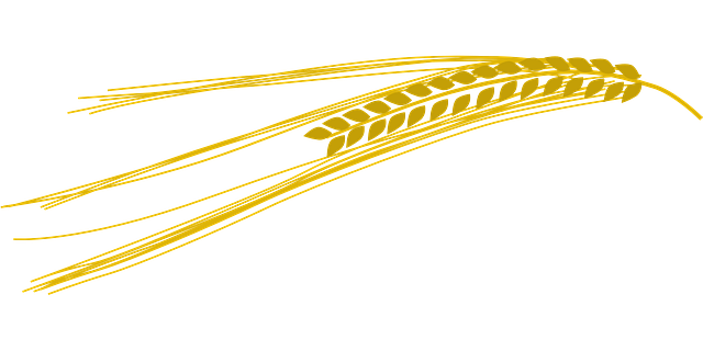 Quali sono i simboli della Prima Comunione?