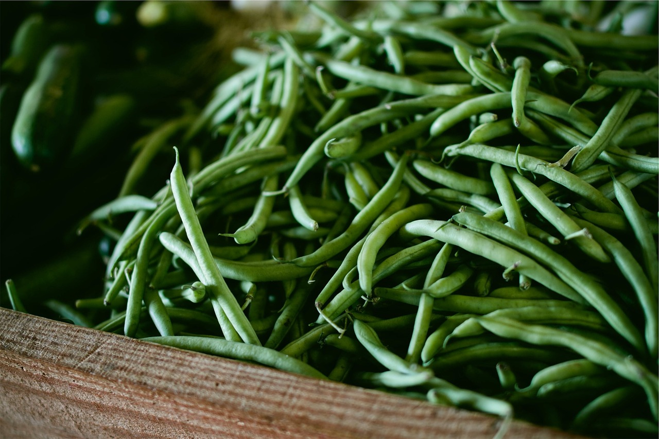 Pesto di fagiolini per bambini, la ricetta veloce per il pranzo