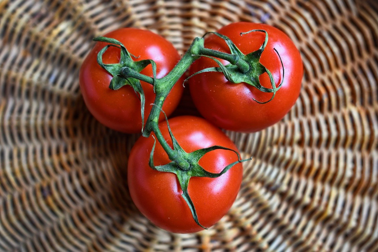 Pomodori ripieni di ceci e riso, la ricetta per il pranzo estivo dei bambini