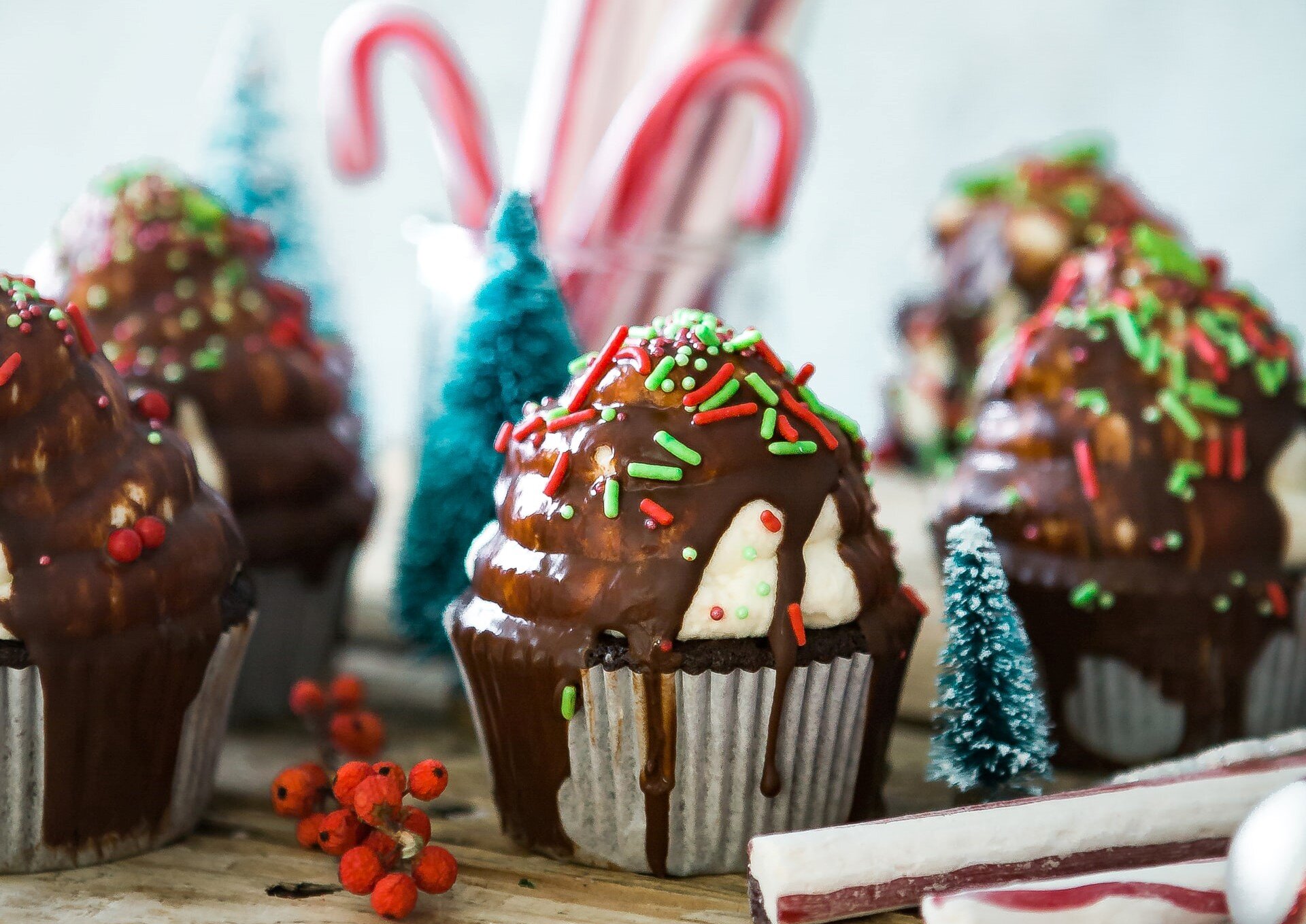 Cupcake natalizi facili, la ricetta da preparare per i bambini