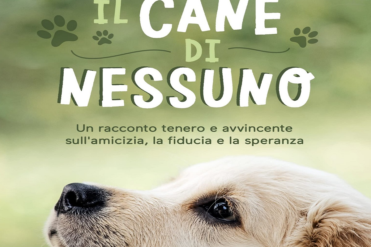 il cane di nessuno