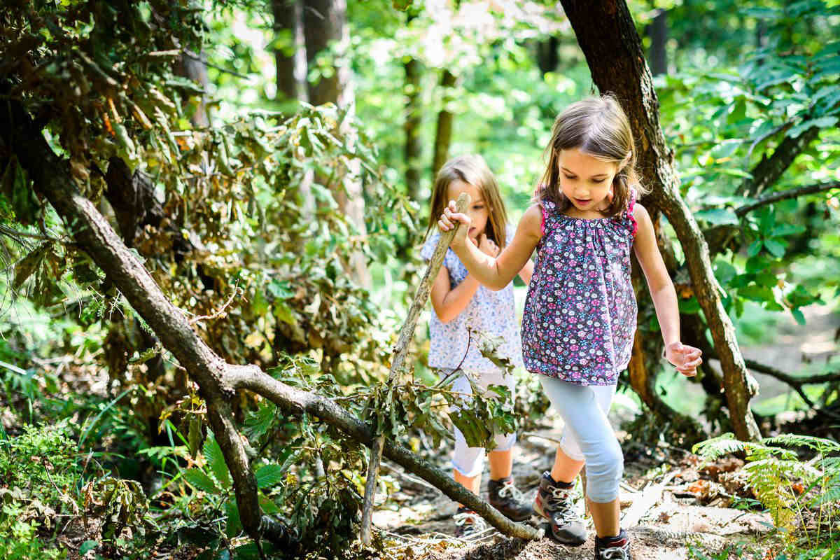 bambine sorelle gita bosco