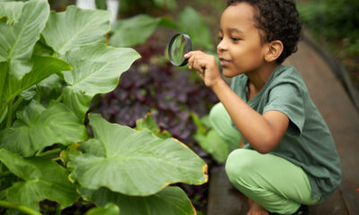 bambino che impara facendo giardinaggio