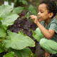 bambino che impara facendo giardinaggio