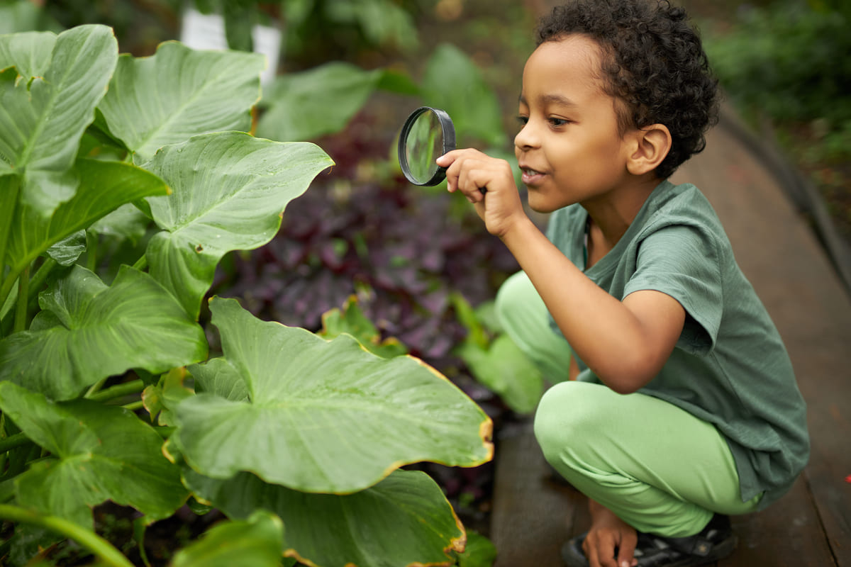 bambino che impara facendo giardinaggio